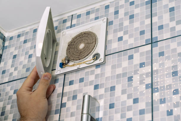 Best Air Duct Mold Removal  in Trophy Clu, TX